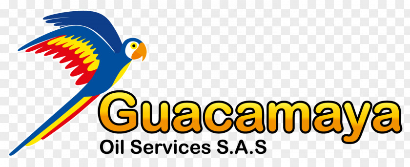 Guacamaya Macaws Beak Corporate Social Responsibility Empresa Service PNG