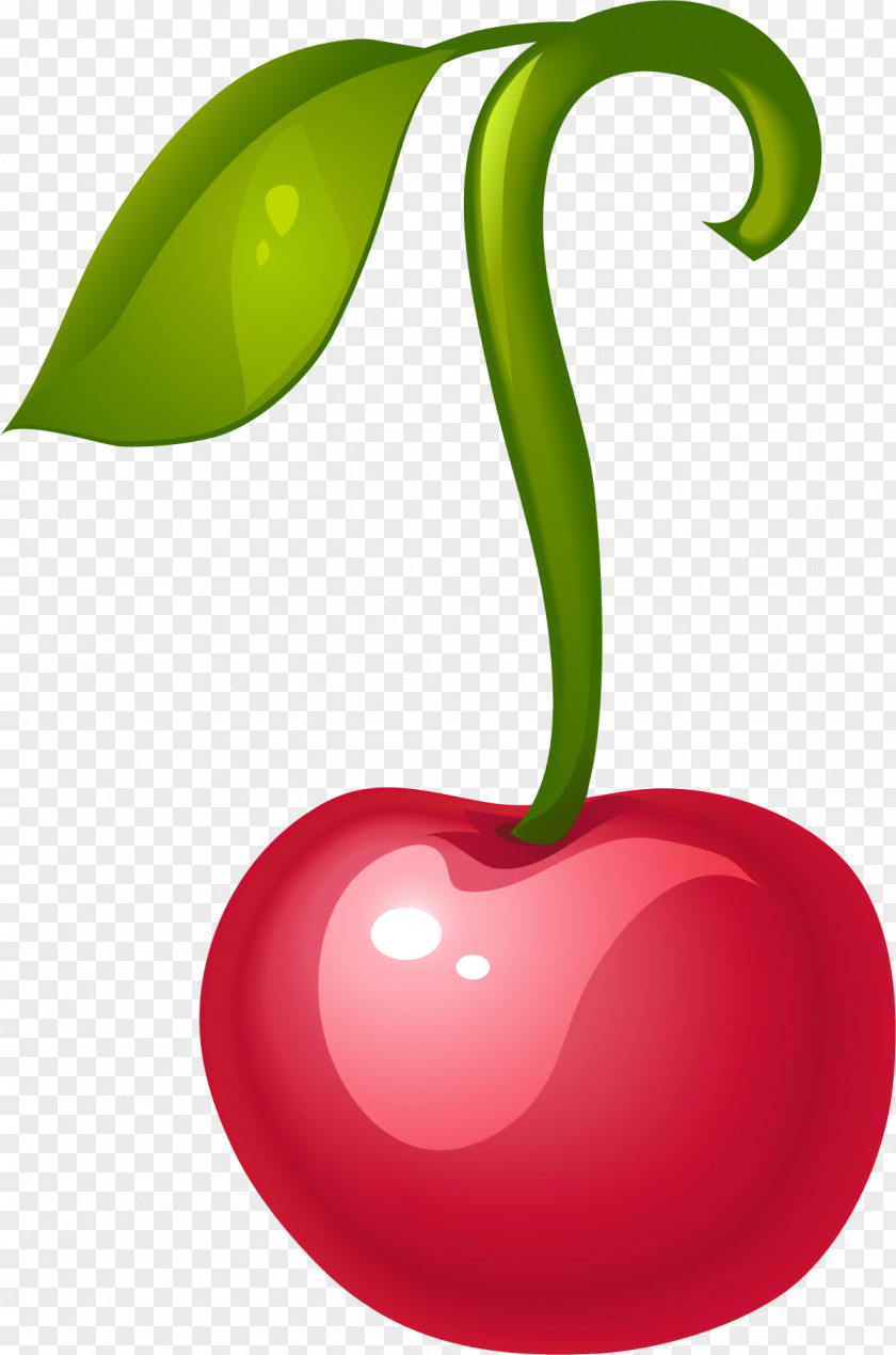 Hand Painted Red Cherry Fruit Clip Art PNG