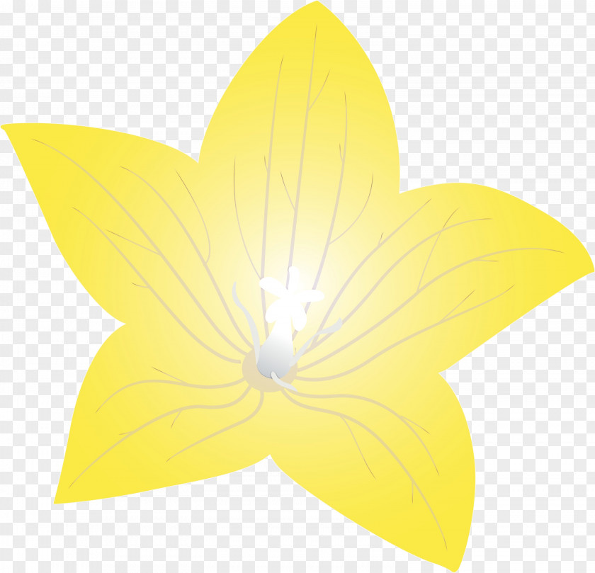 Leaf Flower Petal Symmetry Yellow PNG