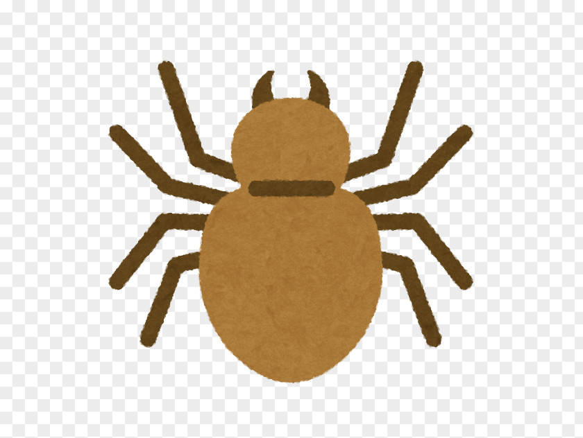 Spider Insecticide Pest Termite PNG