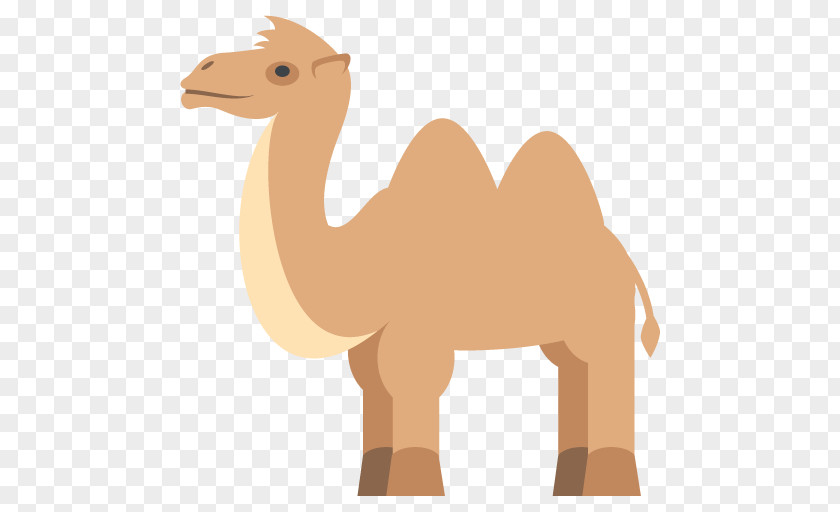 Camel Vector Bactrian Emoji Dromedary Emoticon SMS PNG