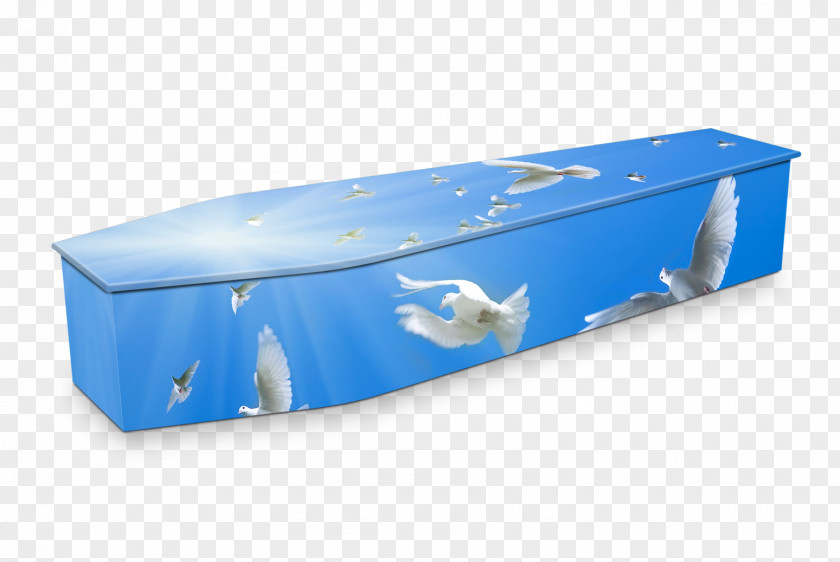 Coffin Funeral Home Expression Coffins Director PNG