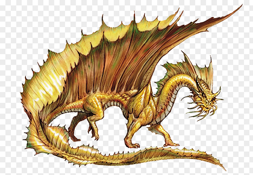 Hand-painted Dragon Draconomicon Dungeons & Dragons Gold Metallic PNG