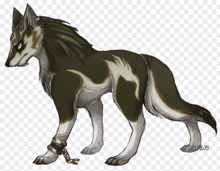 River Side Gray Wolf The Legend Of Zelda: Twilight Princess Zelda II: Adventure Link Ocarina Time PNG