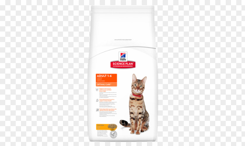 Skin Problem Cat Food Dog Felidae Hill's Pet Nutrition PNG