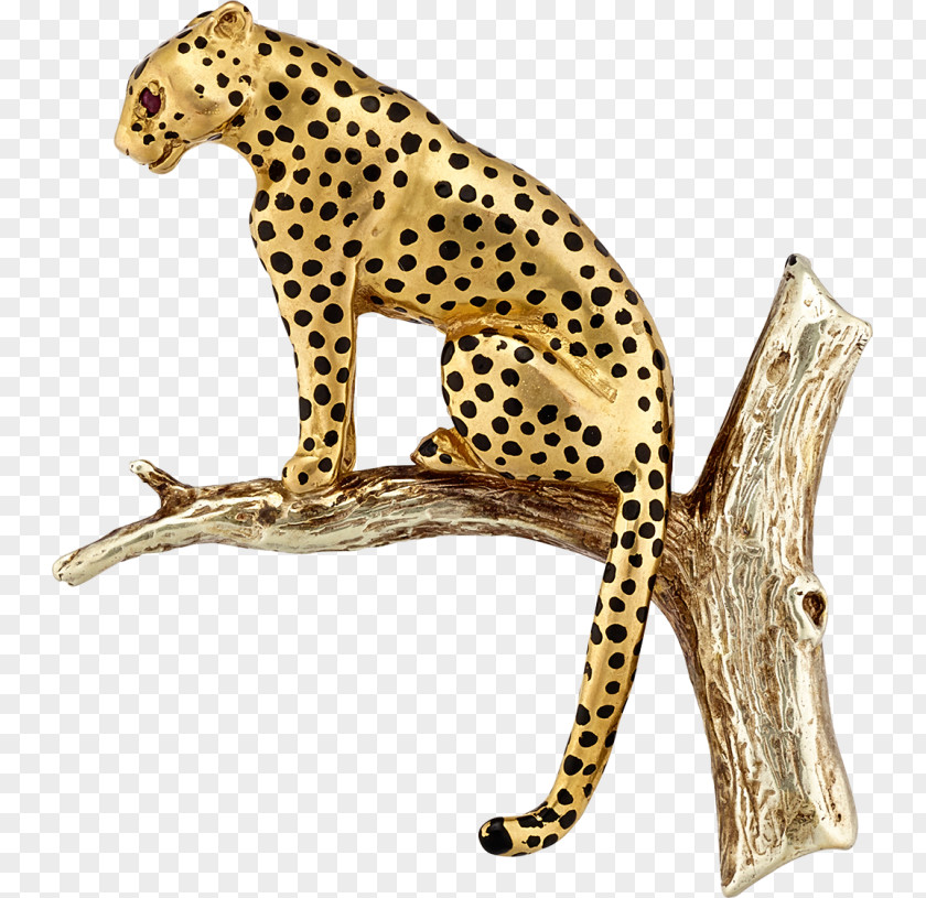 Small To Mediumsized Cats African Leopard Lion Cartoon PNG