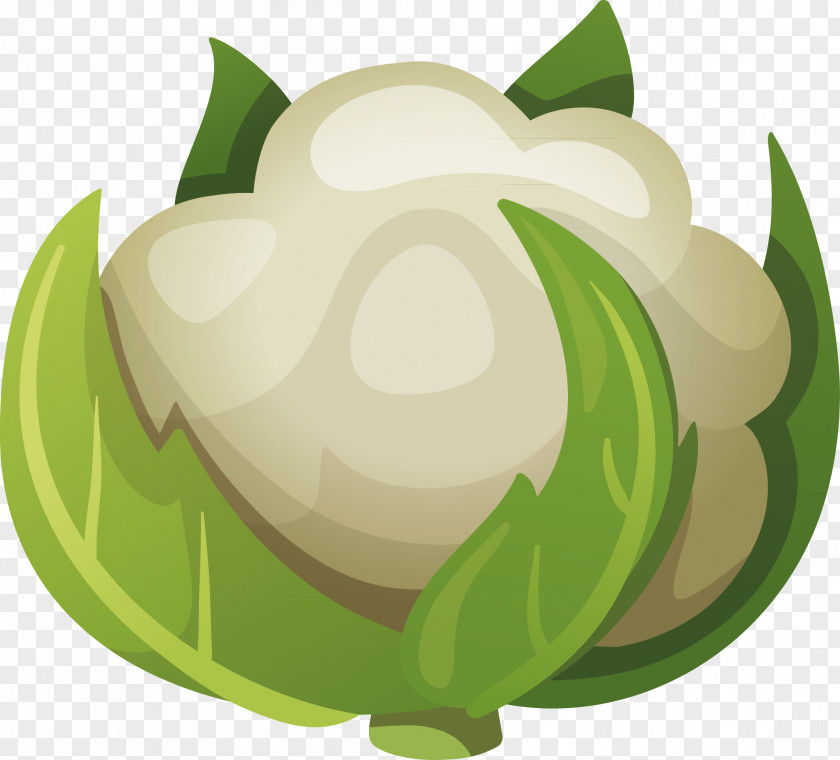 Cabinet Decorative Design Exquisite Cauliflower Cabbage Vegetable PNG