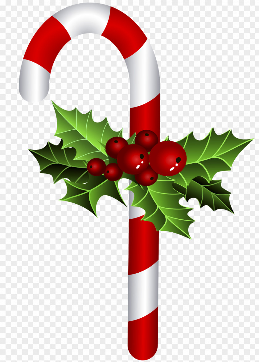 Christmas Ornament Candy Cane Bastone Tree PNG