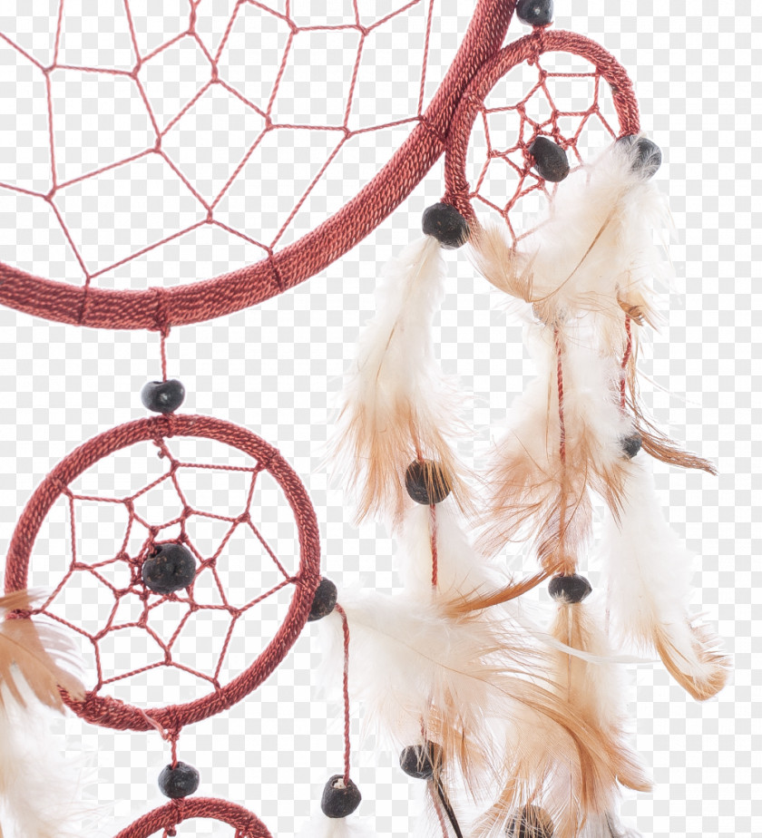Dog Leash Snout Canidae Mammal PNG