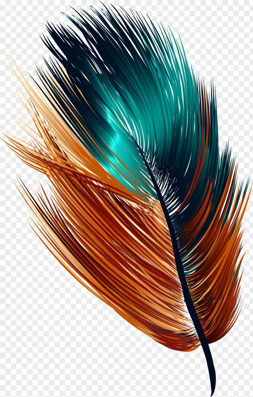 Hand Painted Colorful Feather Drawing PNG