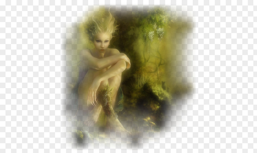 Monkey Fauna Wildlife Fairy Legendary Creature PNG