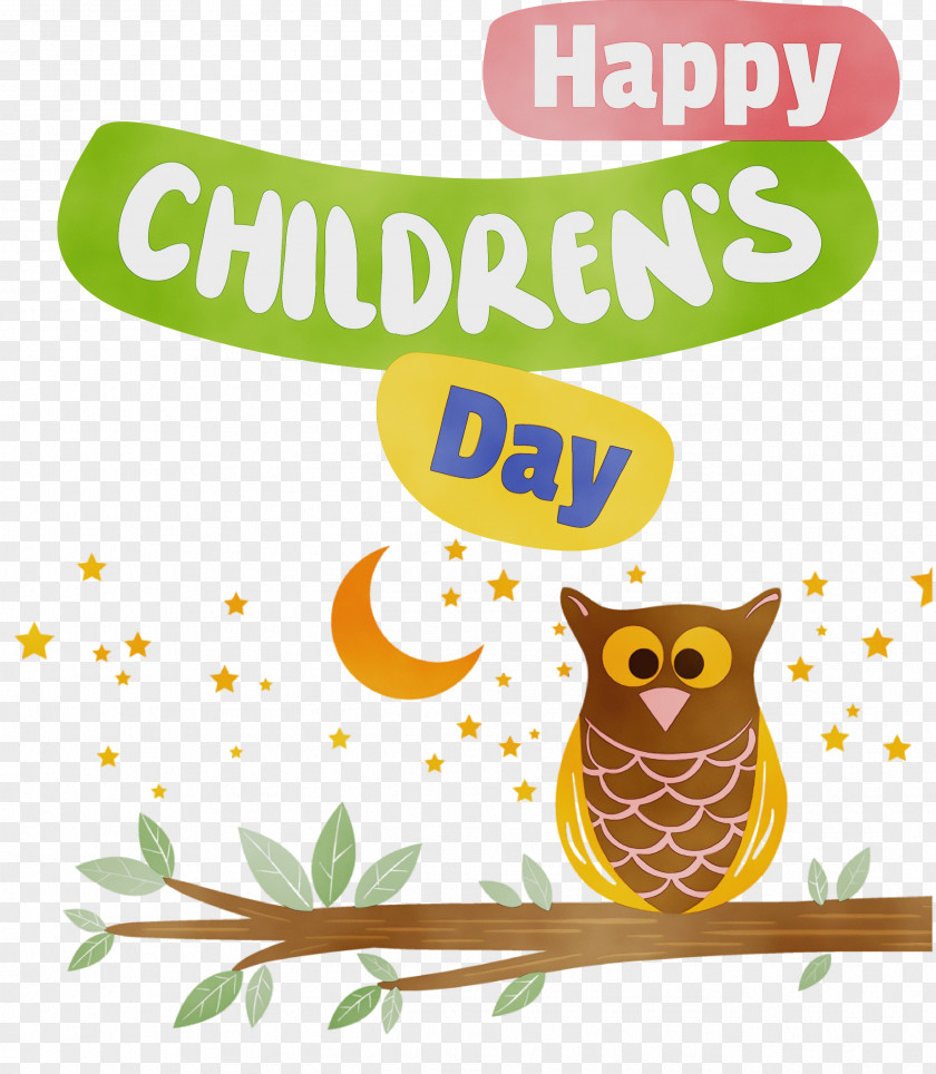 Owls Cartoon Night Birds Bird Of Prey PNG