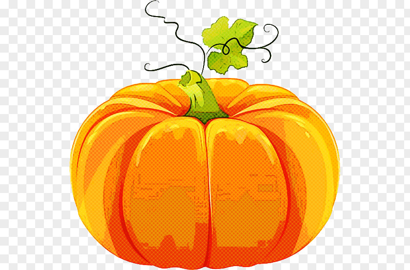 Pumpkin PNG