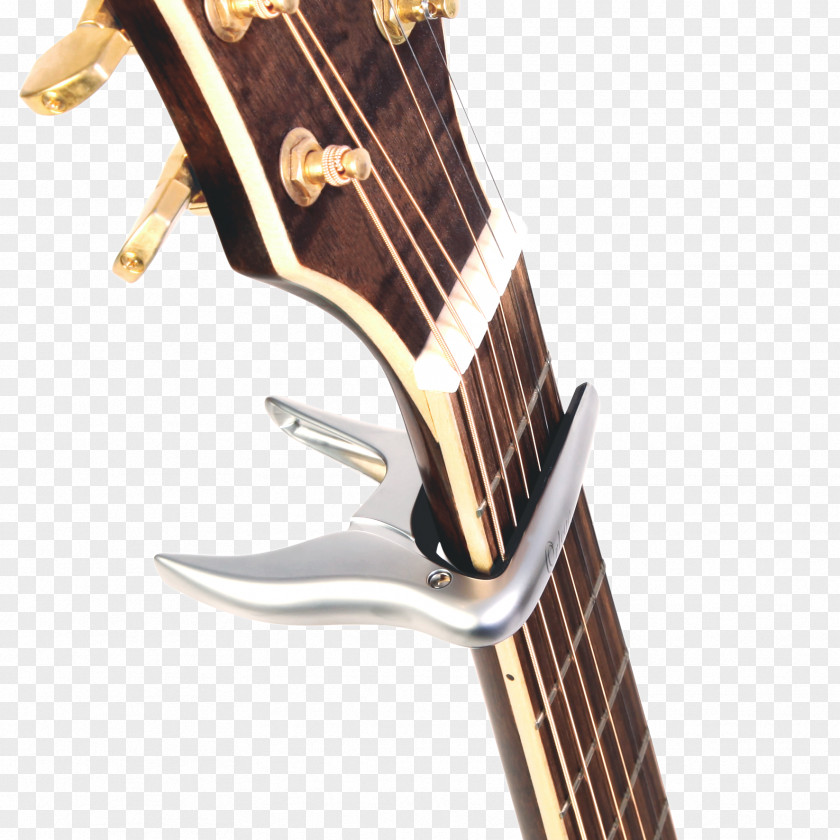 Amancio Ortega Musical Instruments Electric Guitar String Acoustic PNG