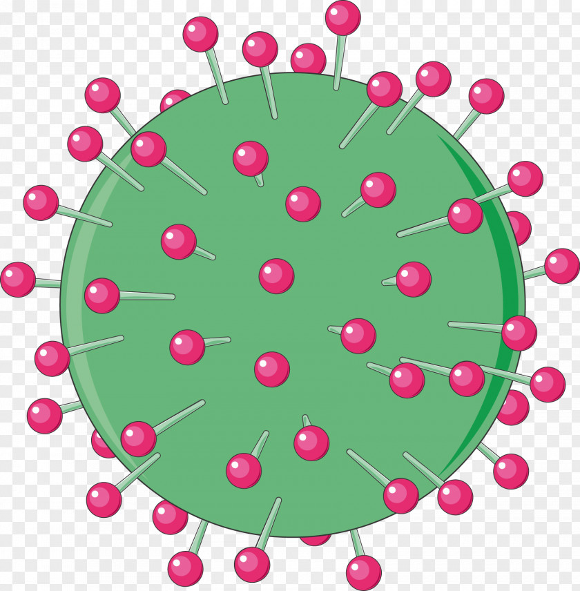 Echinococcosis Viral Hepatitis B Virus Hepadnaviridae PNG