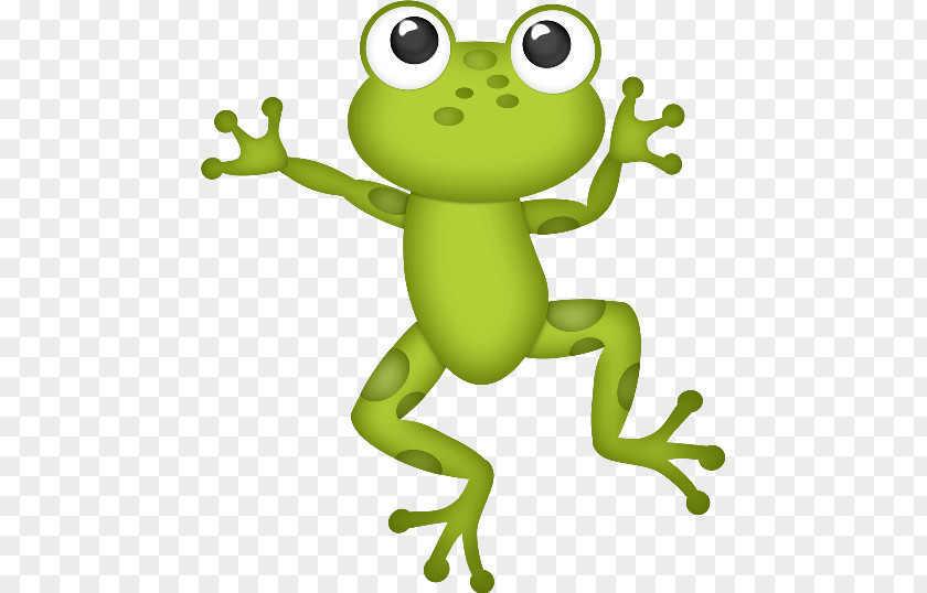 Frog Common Coquí Clip Art PNG