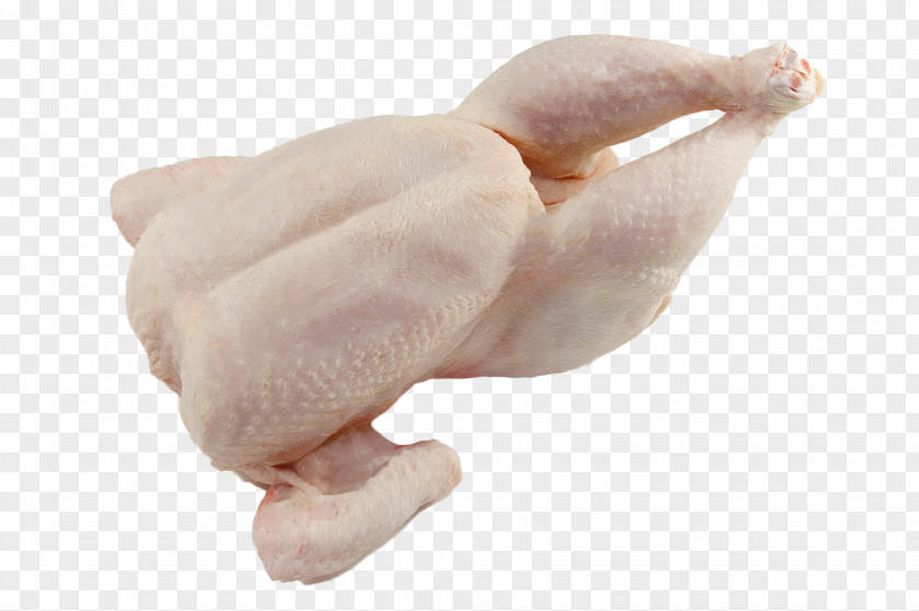 Chicken Meat PNG