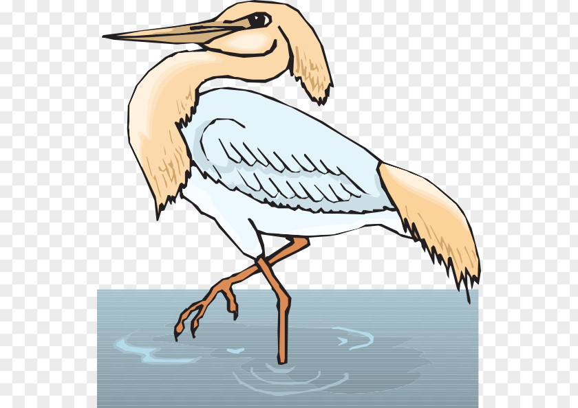Crane Bird Great Blue Heron Coloring Book Grey PNG