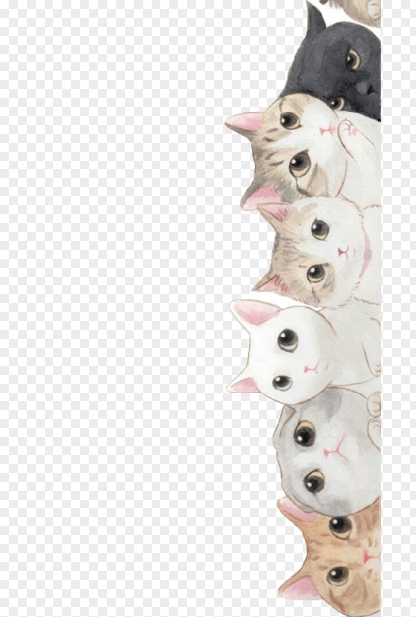Cute Cat Wallpapers Kitten Puppy Cuteness PNG