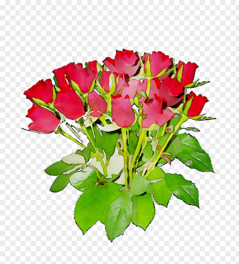 Garden Roses Floribunda Floral Design Cut Flowers PNG