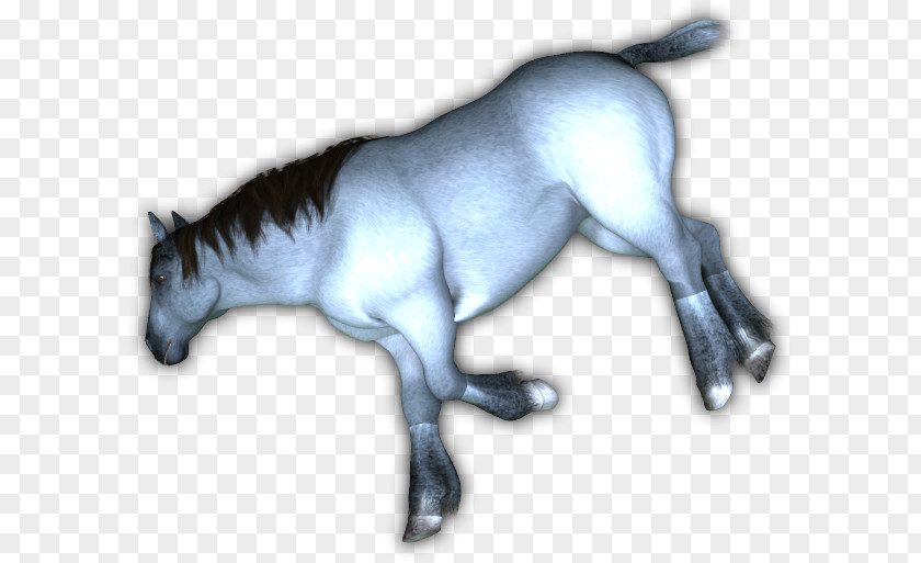 Mustang Mule Foal Stallion Halter PNG