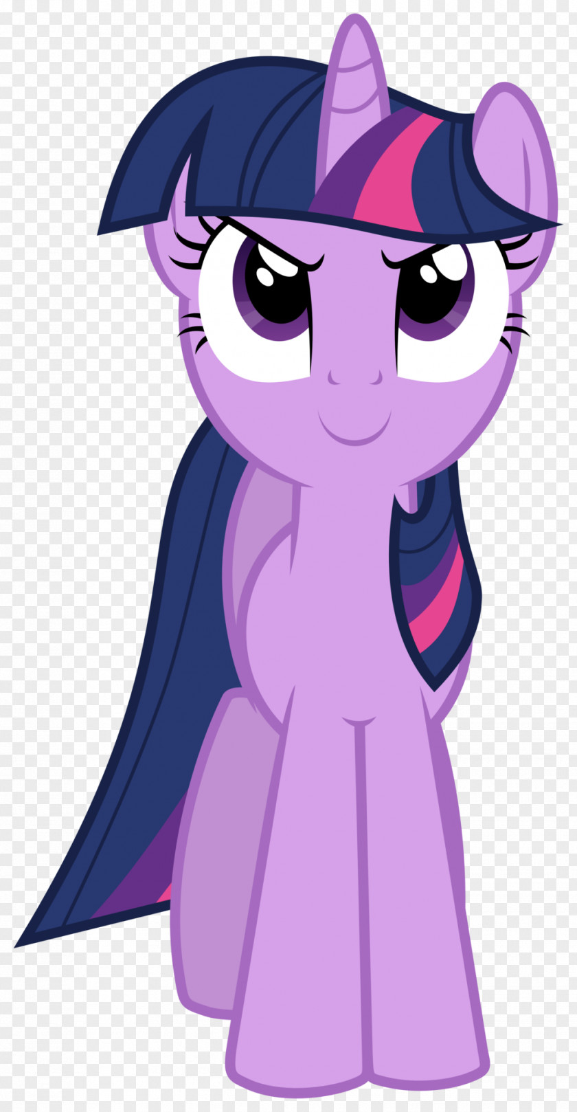 Twilight Sparkle Pony Pinkie Pie Rainbow Dash Fluttershy PNG