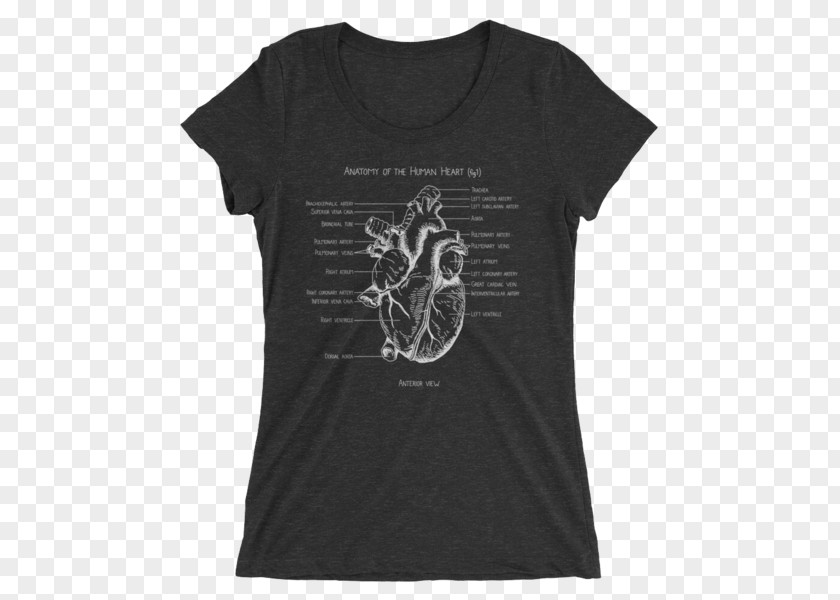Anatomical Heart T-shirt Clothing Sleeve Neckline PNG