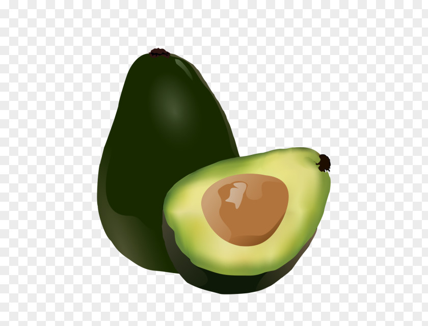 Avocado Drawing Clip Art Image PNG