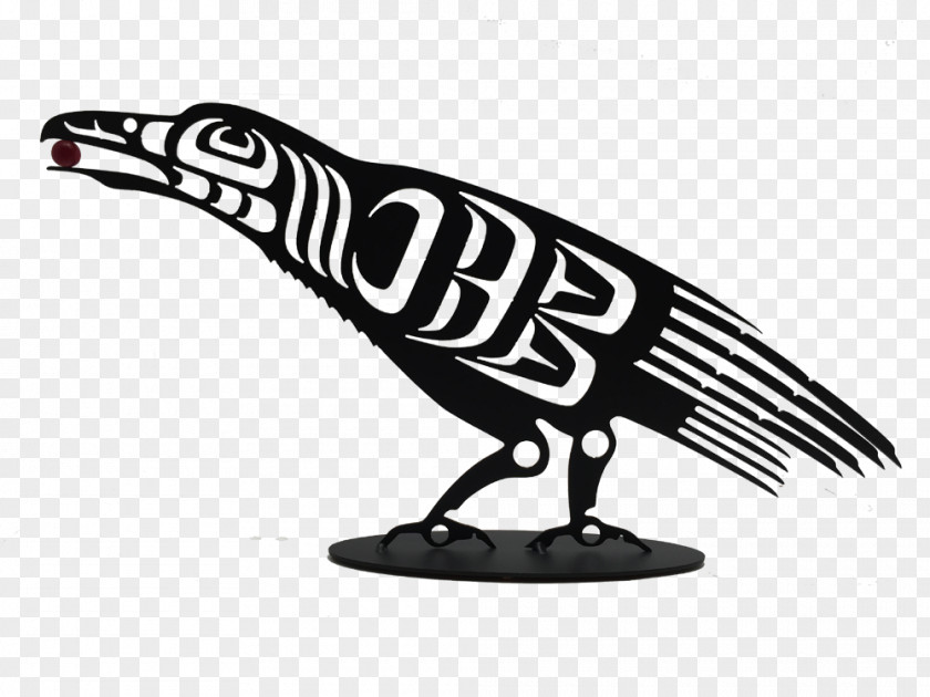 Canada First Nations Pacific Northwest Haida People Common Raven PNG