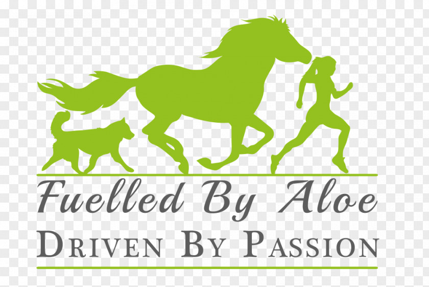 Mustang Pony Paper Excellent Stickers PNG