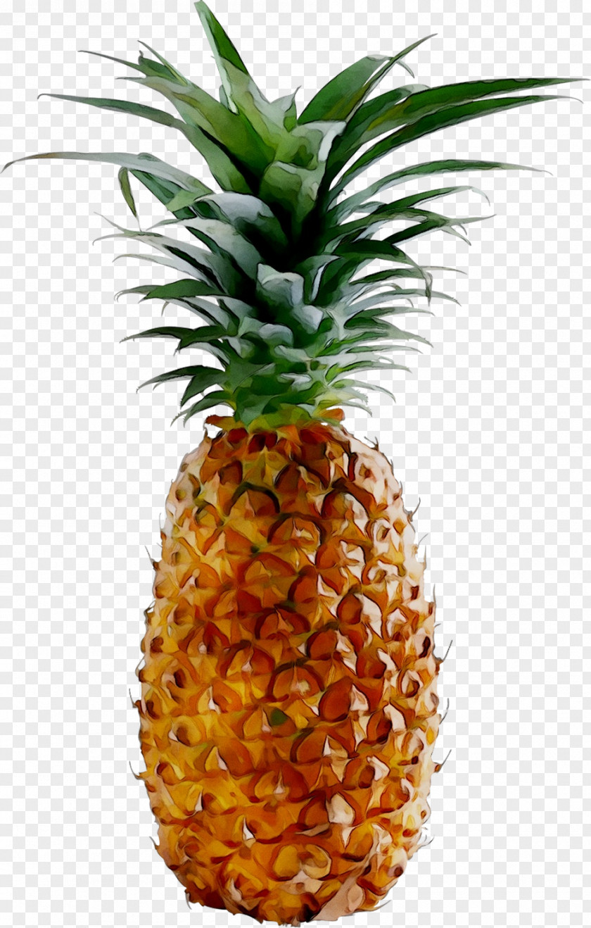Pineapple Kiwifruit Stock Photography Lemon PNG