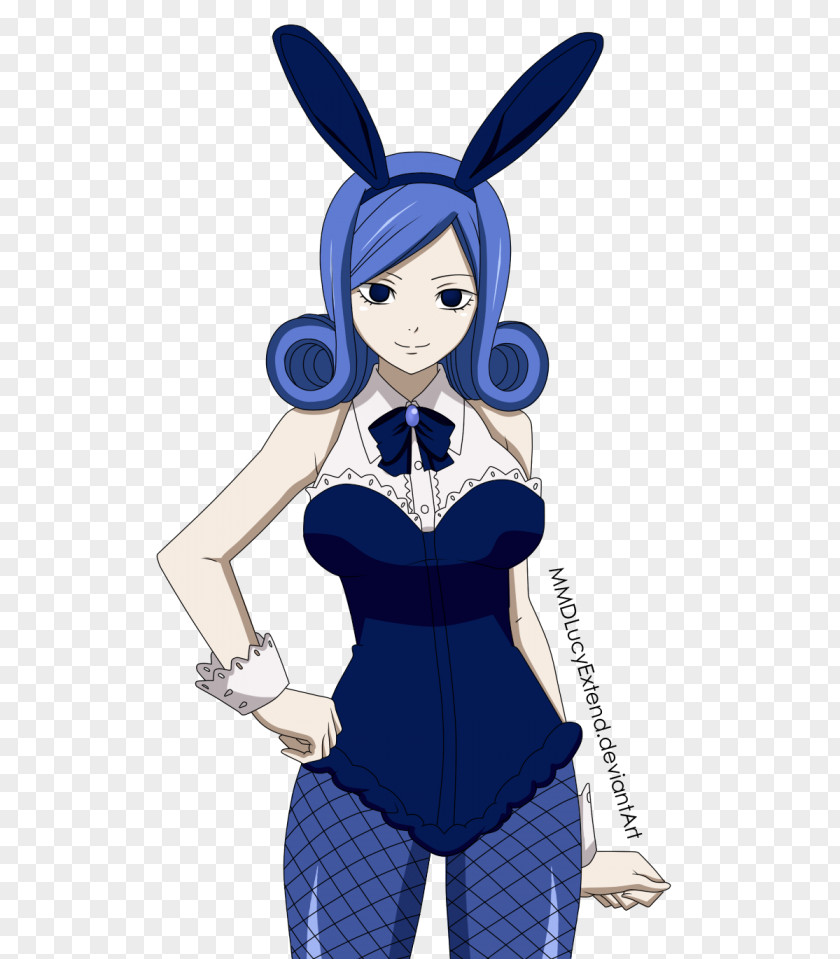 Rabbit Juvia Lockser Costume Natsu Dragneel Gray Fullbuster PNG