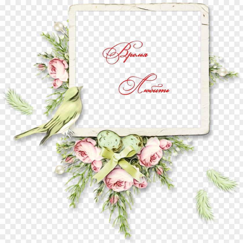 Rose Plant PNG