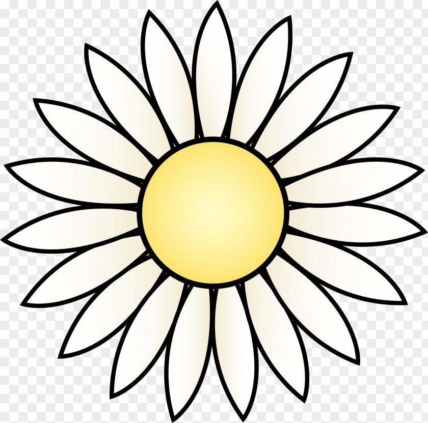 Transparent Daisy Cliparts Common Sunflower Drawing White Black Clip Art PNG