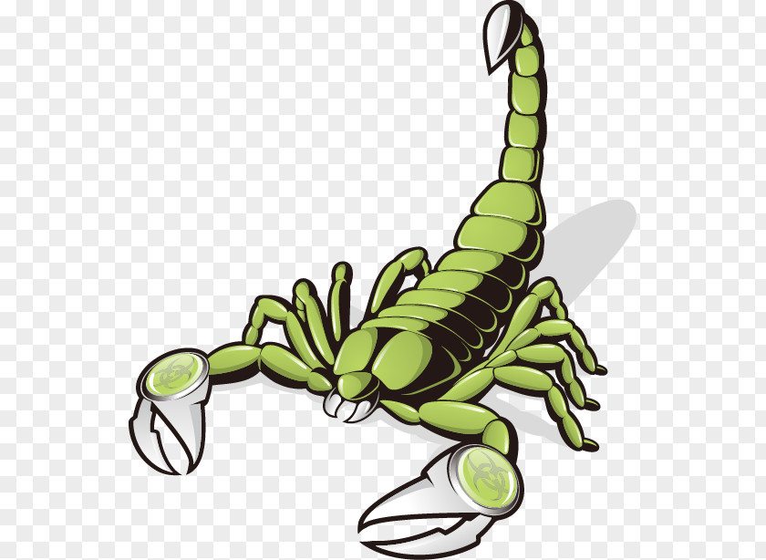 Vector Cartoon Scorpion Euclidean Clip Art PNG