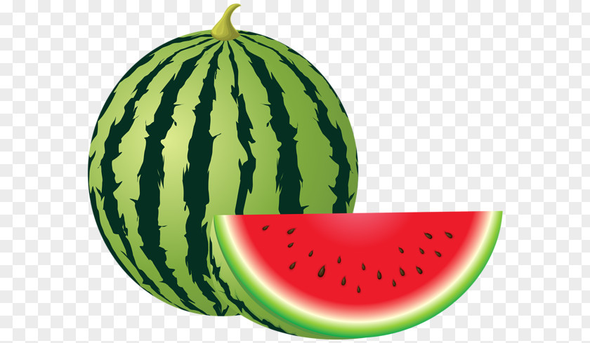 Watermelon Watercolor Clip Art PNG