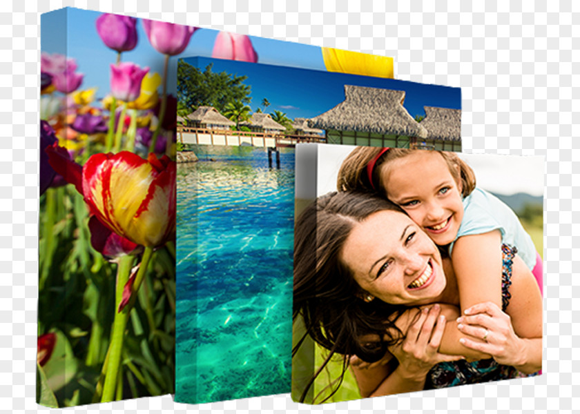 Canvas Print Printing Gallery Wrap PNG