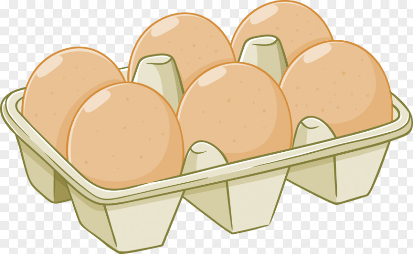 Cardboard Box Vector Eggs Egg Carton Drawing PNG