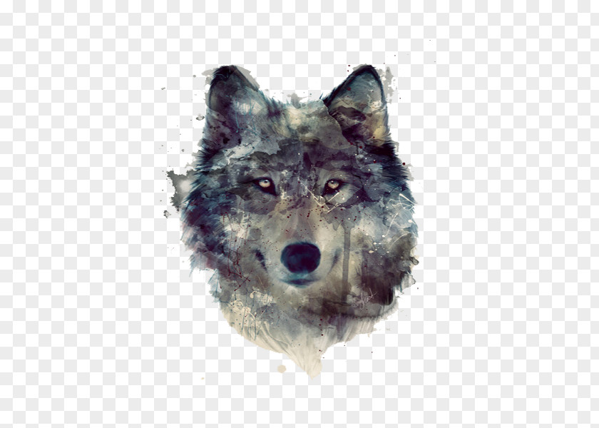 Gray Watercolor Wolf Head Dog Lion Pack PNG