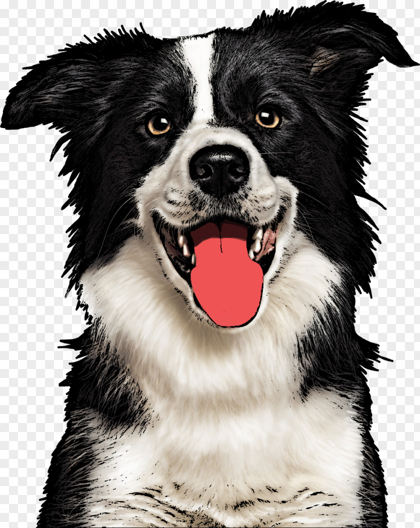 Jiffy Pop Dog Border Collie Rough Beagle Breed Pet PNG
