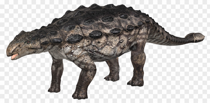 Jurassic Park Ankylosaurus Tyrannosaurus Dinosaur Pachycephalosaurus Euoplocephalus PNG