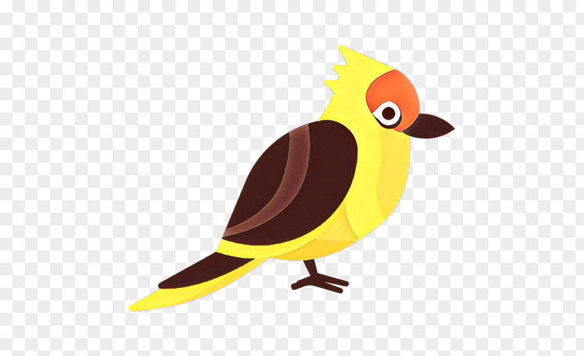 Old World Flycatcher Perching Bird Cartoon Beak Yellow Songbird PNG