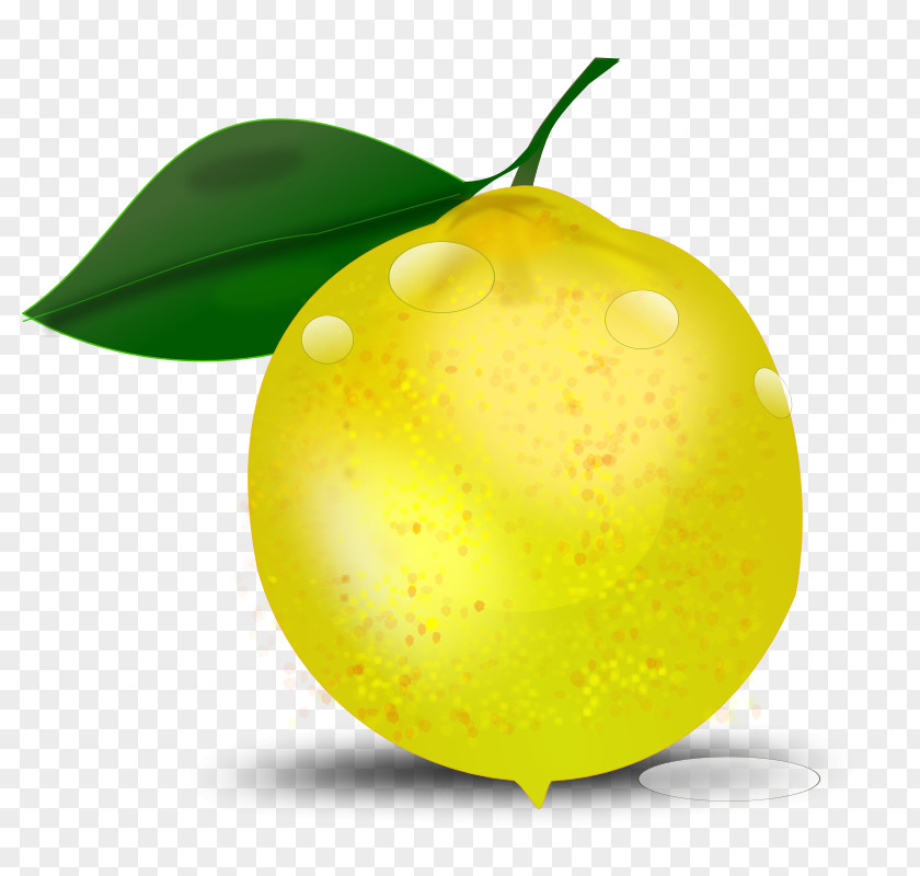Photorealistic Lemon Clip Art PNG