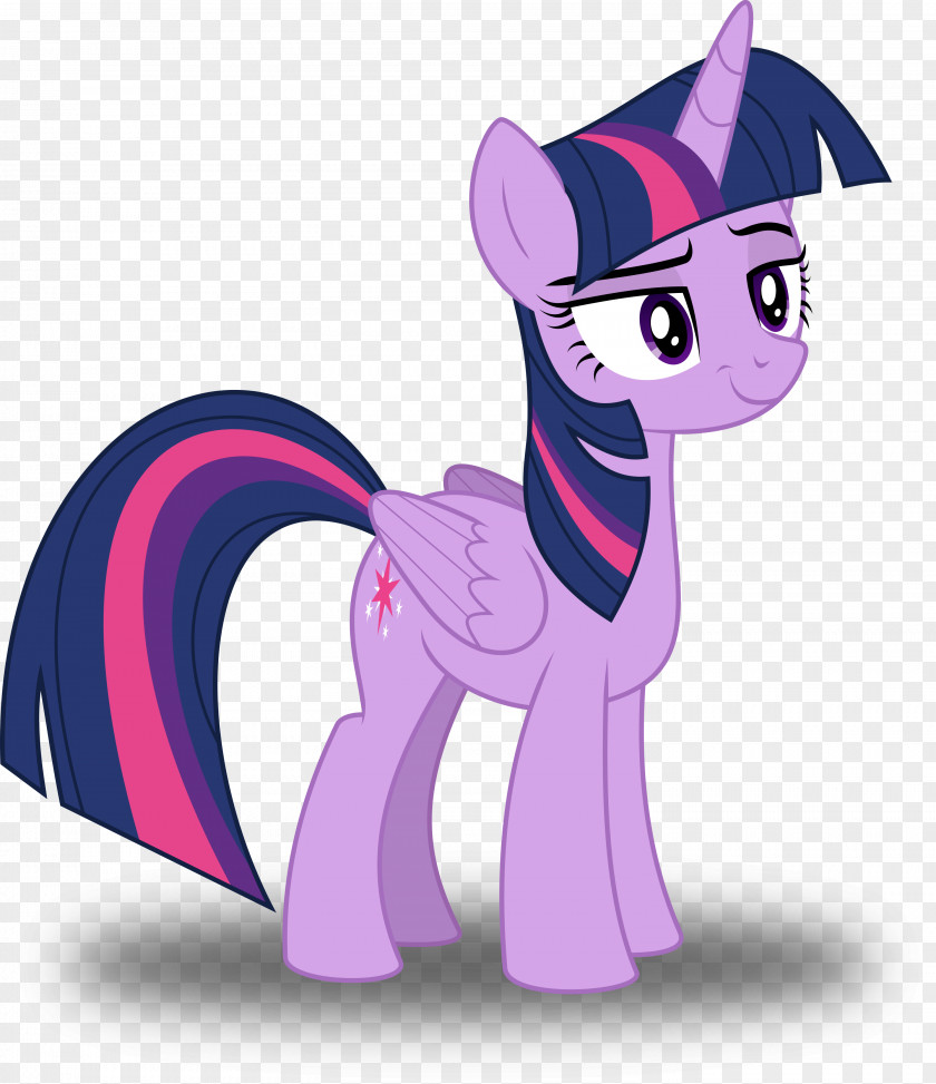 Smug Twilight Sparkle Pinkie Pie Rarity Pony Rainbow Dash PNG