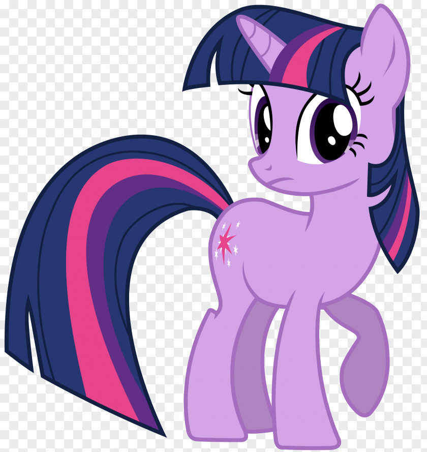 Twilight Sparkle Rainbow Dash Pony Applejack Rarity PNG
