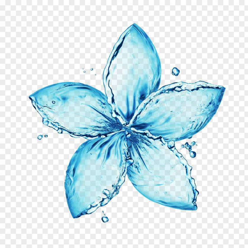 Water PNG Water,flower,cosmetic clipart PNG