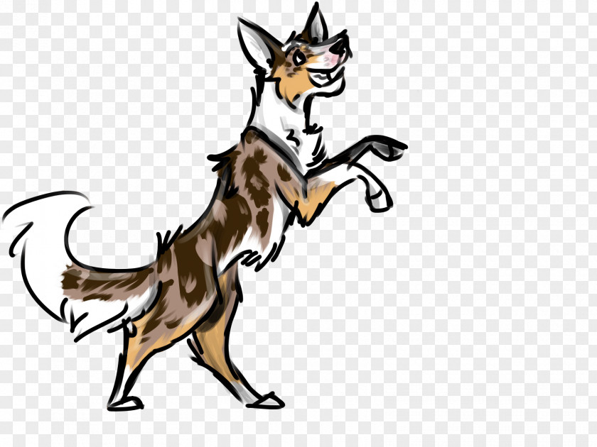 Border Collie Blue Merle Dog Red Fox Horse Mammal Clip Art PNG