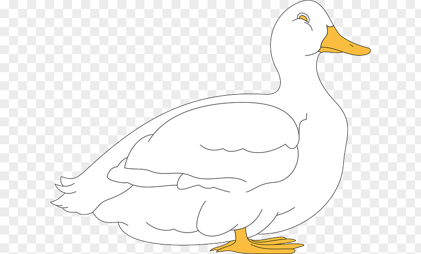 Duck Goose Cygnini Chicken Bird PNG