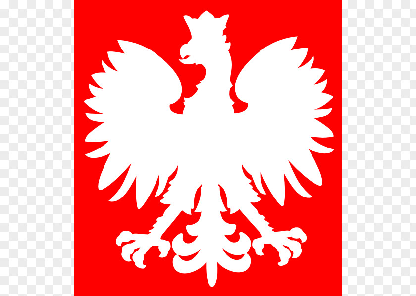 Falcon Outline Cliparts Coat Of Arms Poland Second Polish Republic Flag Cockade PNG