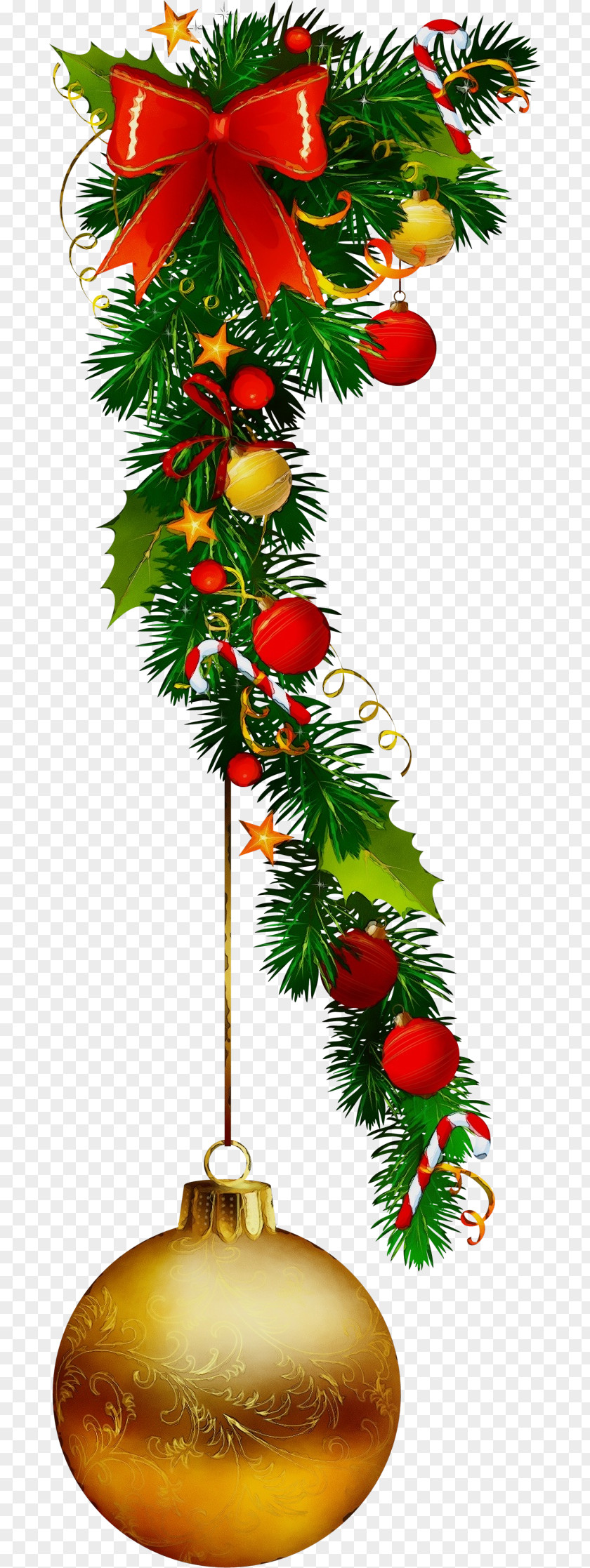 Fir Woody Plant Christmas Tree PNG